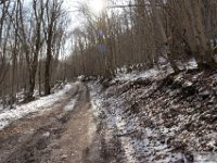 2026-03-21 Monte Ginepro 034